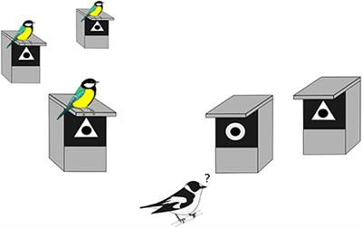 Heterospecific Nest Site Copying Behavior in a Wild Bird: Assessing the Influence of Genetics and Past Experience on a Joint Breeding Phenotype